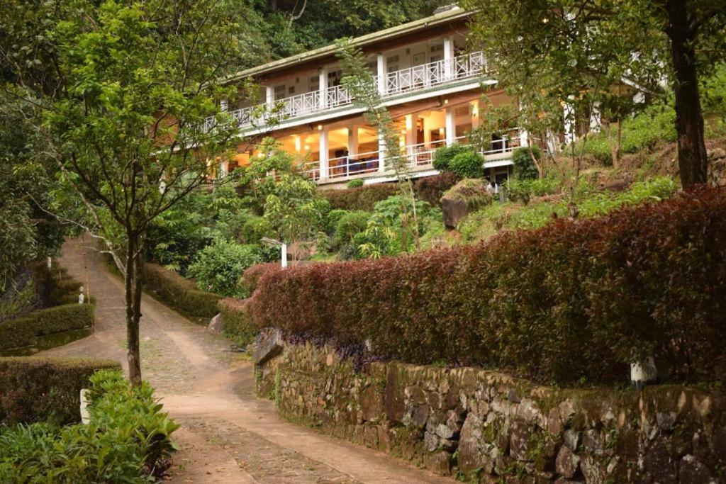 Forest Edge Hotel Ginigathena Экстерьер фото